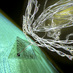 The Nanopore Site (@thenanoporesite) Twitter profile photo The Nanopore Site (@thenanoporesite) Twitter profile photo