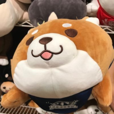 virtual_megane's profile picture. にーと、にーたー、にーてすと