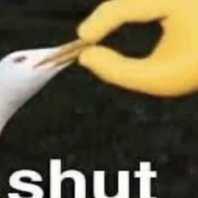 OhAaronnn's profile picture. 16