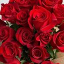 William Doolittle - @WilliamDoolitt8 - Twitter