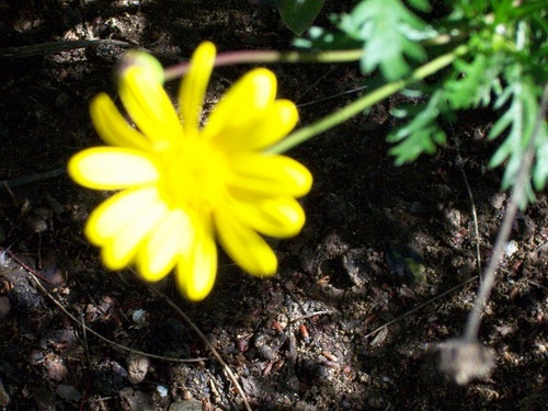 snailmailonly's profile picture. letter writer. art maker. bibliophile. stamp collector.
want a FREE penpal newsletter? 
DM (direct message) me here so I can give you the postal address