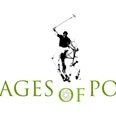 Images of Polo (@imagesofpolo) 's Twitter Profile