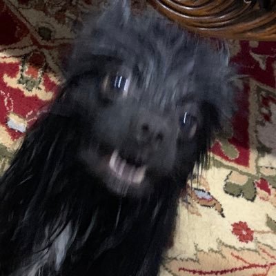 AhmadSa89850565's profile picture. Idk just a bio I guess 🇵🇸🇯🇴