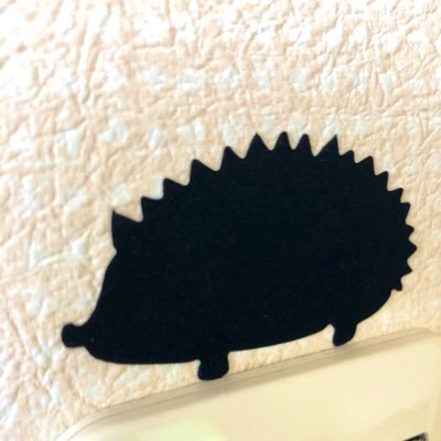 O9s0YoKxVTlj2vf's profile picture. すとーんず💎🦔 /関東の田舎民/ペコーち/ヘッダー→@smallnobirdさん