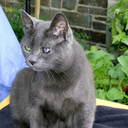 Patricia Mounce - @Vanguards7 - Twitter