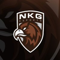 NKGaming (@nkgtwitt) 's Twitter Profile