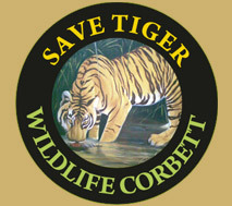 corbettresort's profile picture. Corbett Jungle club resort is 4 star resort in jim corbett national park