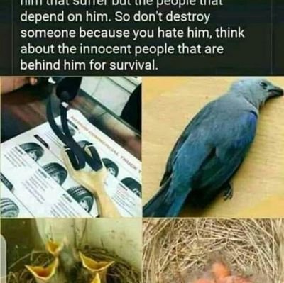 KivaulaK's profile picture. 1.If you can't help them, avoid hurting the
2.peace is a product of rights
3.voice for voiceless