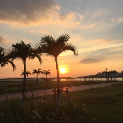 4dte3DixGgpAacZ's profile picture. 株主優待と株の配当金を柱に、暮らすのが夢です。#心理学#心理術#どうでもいいことも、呟きます！DMは、返信しません！