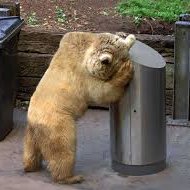 Schnuffel (@diggetonne) 's Twitter Profile