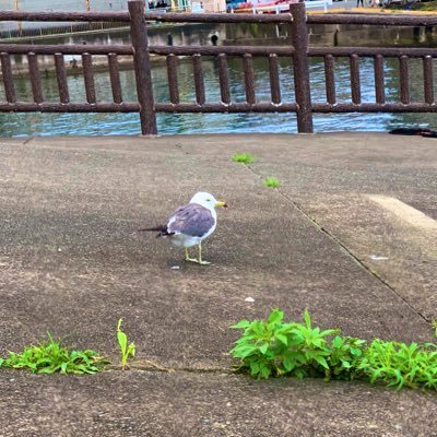 45HzPgSZp6gVD0C's profile picture. 29🎣🚘