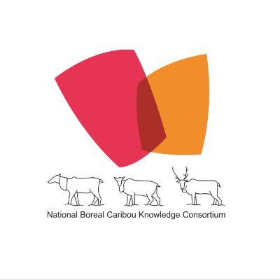 Secretariat members of the NBCKC tweeting on #BorealCaribou #Conservation & #KnowledgeSharing. Personal account; all views our own; following is not endorsement