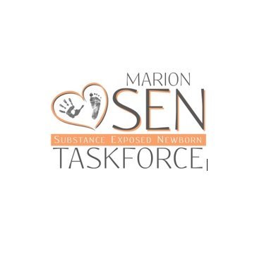 The SEN Task Force was created to ensure that pregnant women who suffer from Substance Use Disorder receive the prenatal care needed for a healthy pregnancy.