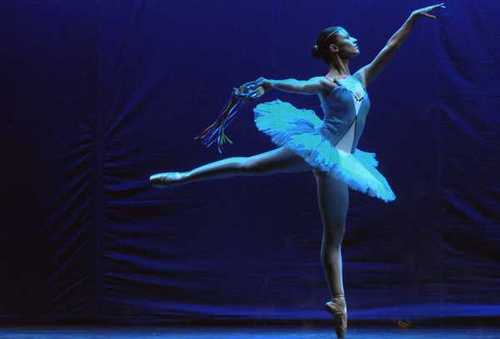 Maestra ed.primaria y profesora de danza clásica, jazz y contemporáneo.