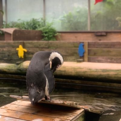 plant8inch's profile picture. ME よこはまの人