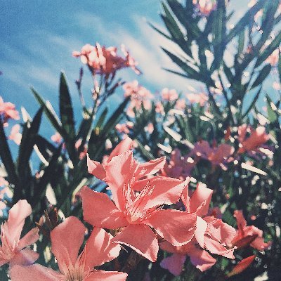 Giusepp49386907's profile picture. 