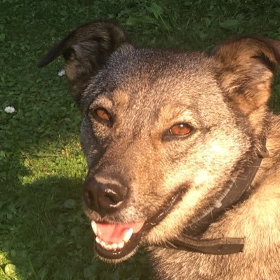 wojciec30782355's profile picture. Wólczan Husiński. Jest we mnie duch Popilarki i Koziwody. Zakochany w Lubelaczce