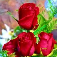 .... Revathi (@d9oq94brq4yrwdf) 's Twitter Profile