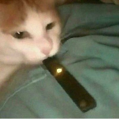 Courtney_Gold95's profile picture. Has never went to oovoo javer