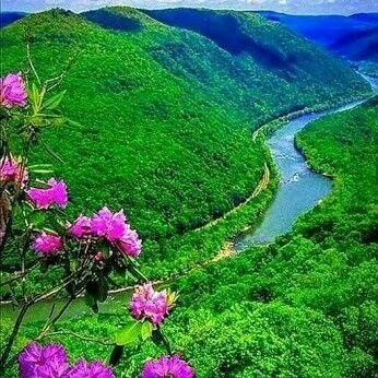 LangahSabir's profile picture. 