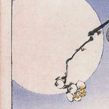 子さんのプロフィール画像