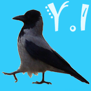 pingimaya's profile picture. 拡張現実感（AR）・視覚拡張・人間拡張（AH/HA）・あとVRも少々