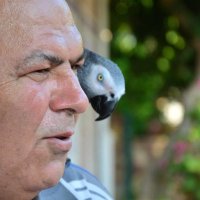 erol karadeniz (@erolkaradeniz07) 's Twitter Profile Photo erol karadeniz (@erolkaradeniz07) 's Twitter Profile Photo