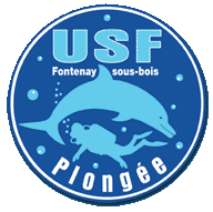 RafaMasterweb's profile picture. Association de plongée, apnée, nage avec palmes, tir sur cible