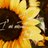 Twitter result for Banana Republic from BEW35901793