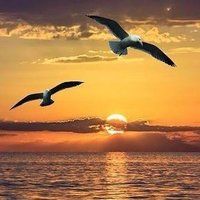 حضرت خورشید (@farakolnegari) 's Twitter Profile Photo