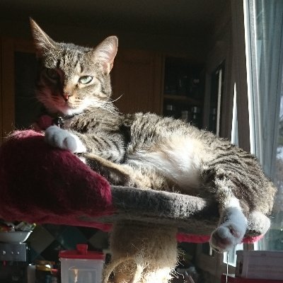 jerome_lefebvre's profile picture.