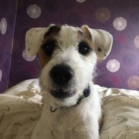 John Lewis (@johnlewiseu) 's Twitter Profile