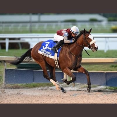 WaunerS's profile picture. Especialista en sexo