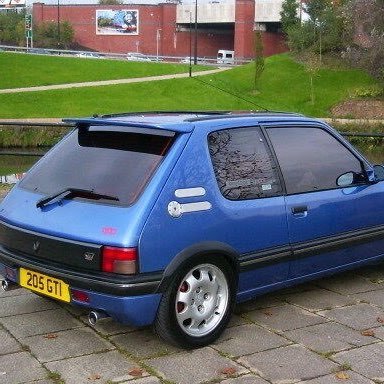 Ginger_205's profile picture. 