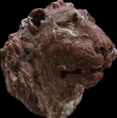 kolch_alex's profile picture. 