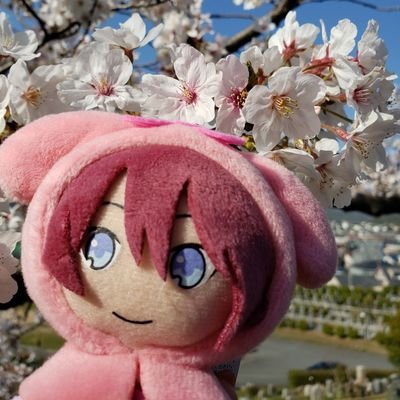 🌸🌸桜🌸🌸さんのプロフィール画像