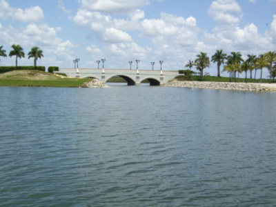 4REOSOLUTIONS's profile picture. 