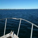 Shaun Williamson - @shorewatermar - Twitter