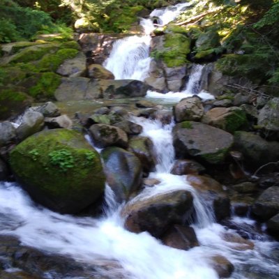 Jonna_Global's profile picture. On a Pacific NW to Global journey seeking Wisdom, friends, grace, reconciliation...willing to drink 4+ cups of tea & listen as folks gather for rich discussion