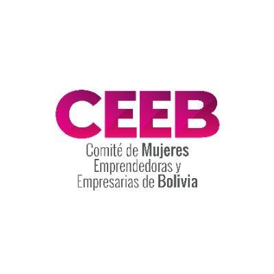 Promovemos la independencia económica por medio de la creación y desarrollo de empresas innovadoras que permitan el crecimiento económico de Bolivia.