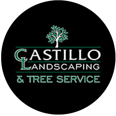 Tree service contractors for more than 25 years! Reliable, high-quality, local tree service at affordable prices. For a free estimate: (818) 806-0488