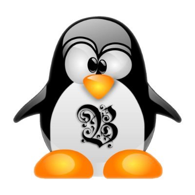 IT Systems Engineer, Systems Developer and Unix Open Source Geek