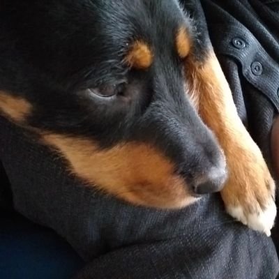 B.A. Labour studies (m. psychology) 2019 grad on twitter