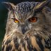 Diox 🦉@diox@home.social (@derdiox) Twitter profile photo Diox 🦉@diox@home.social (@derdiox) Twitter profile photo