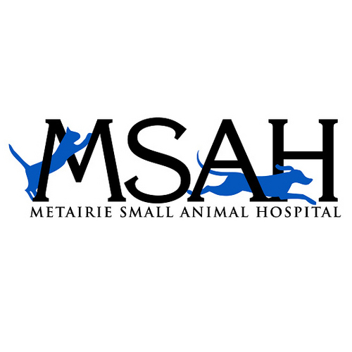 MSAH101 Profile Picture