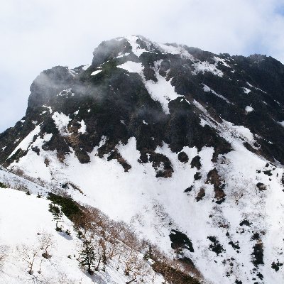 アベ政権の暴走と一部地方自治体首長を支持するポピュリズムが許せなくて、ツイッターを始めました。アベはついに辞意を表明しましたが、このままでは同じレベルの首相に変わるだけでしょう。まともな政権に交代するまで、発信を続けます。