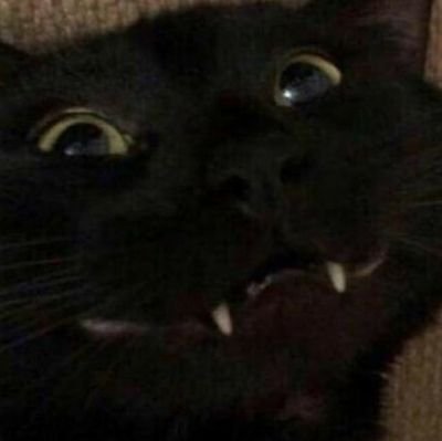 anita_bookworm_'s profile picture. Hey I'm anita, you found my Twitter. um I'm not sure what to do here... oh I have a YouTube channel. that's a cool thing I guess.