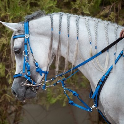 H_hz26's profile picture. إنّ الله مَعَنا