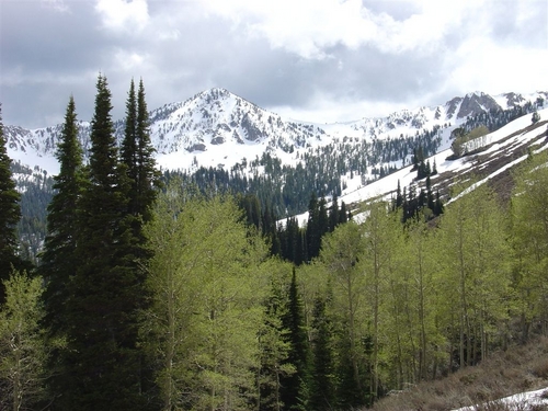 The Sawtooth NF is located in So Central ID.  This is an official USFS site. FS Disclaimers: http://t.co/m7CdObf4Kl. shtml http://fs/usda.gov/Sawtooth