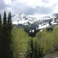 Sawtooth NF (@sawtoothnf) 's Twitter Profile